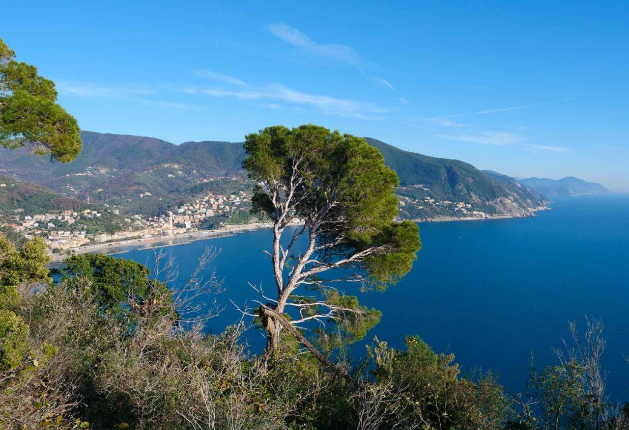 M'Illumino D'Immenso - Moneglia Apartments Exteriör bild