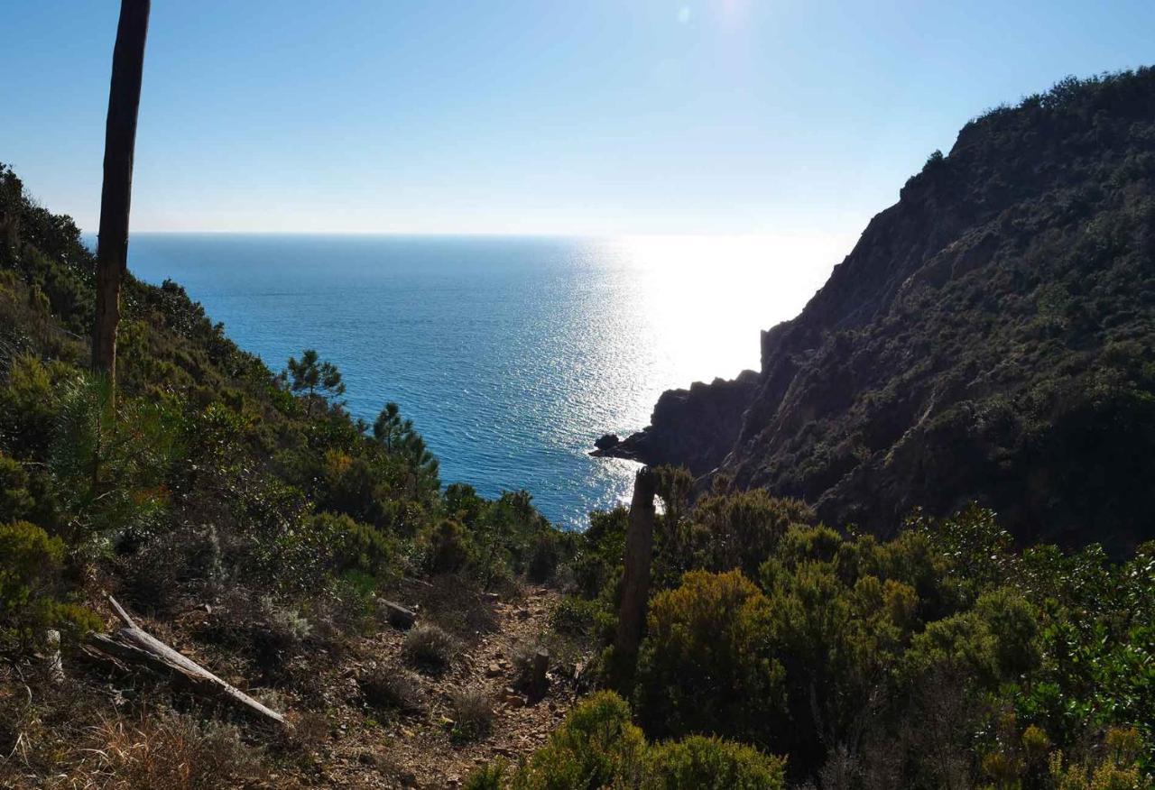 M'Illumino D'Immenso - Moneglia Apartments Exteriör bild